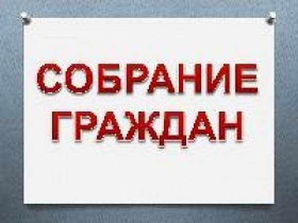 Собрание граждан.